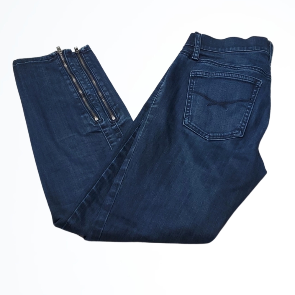 GAP Denim 1969 Dark Wash Lower Rise Skinny Blue Jeans Size 25 Zippered Ankle
